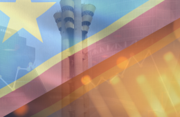 Fonds D' Investissements Strategiques DRC